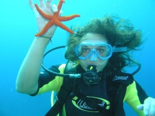 Estrella de mar